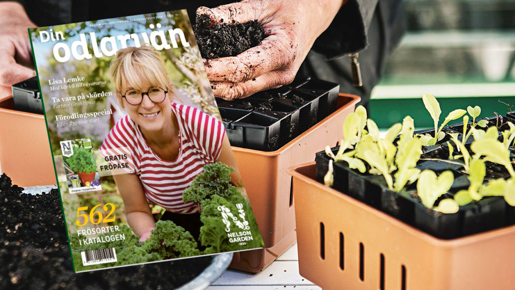 Din odlarvän 2018 frökatalog Nelson Garden