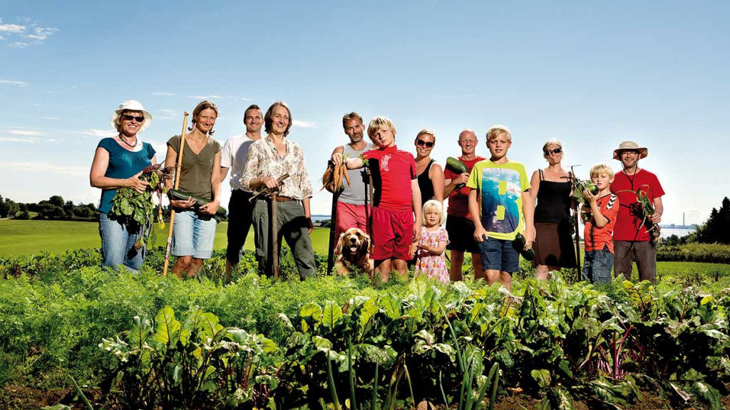 Trädgårdslandet blir Din odlarvän