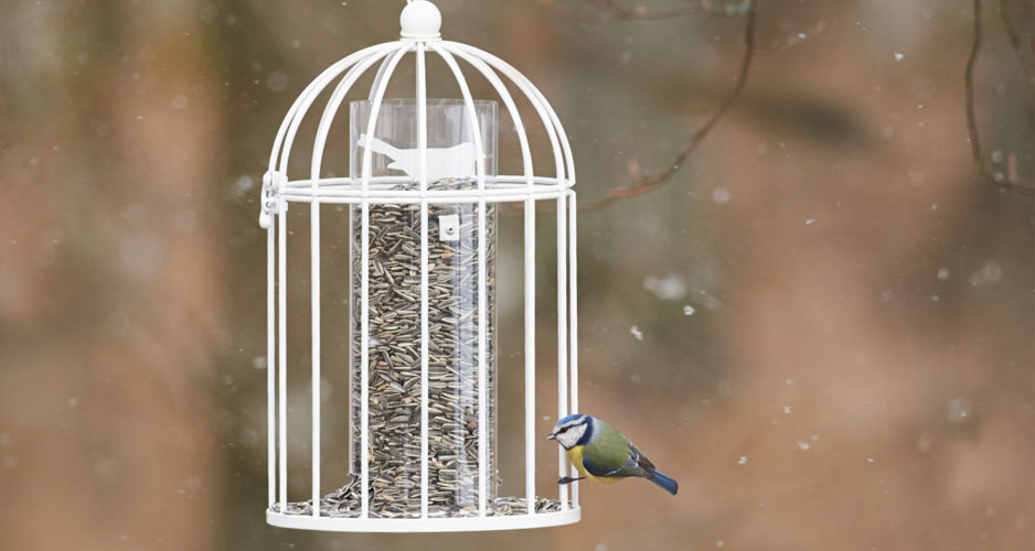 Vintervit fröautomat i romantisk stil från Nelson Garden med design av Alexander Lervik. Efter hand fåglarna äter av maten framträder en dekorativ fågel i metall. 
