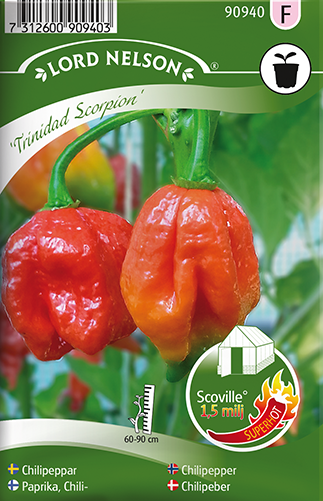 Odla Chili - här sorten Trinidad Scorpion