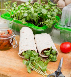 Tunnbrödsrullar med skott av solros