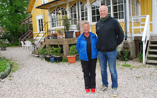 Humor och bin är jätteviktiga förklarar syskonen Qwiberg
