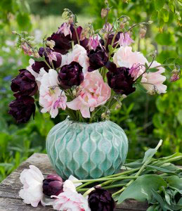 Kombinera tulpaner. Men Lovely Match Hero in Love blir resultatet fantastiskt.