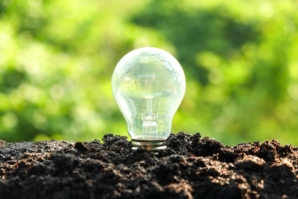 Läsartips för ett enklare trädgårdsliv