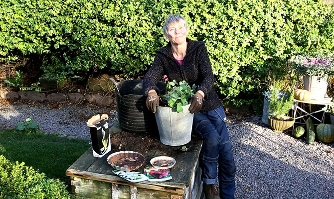 Höstlök och perenner i kruka - Annika Christensen tipsar.