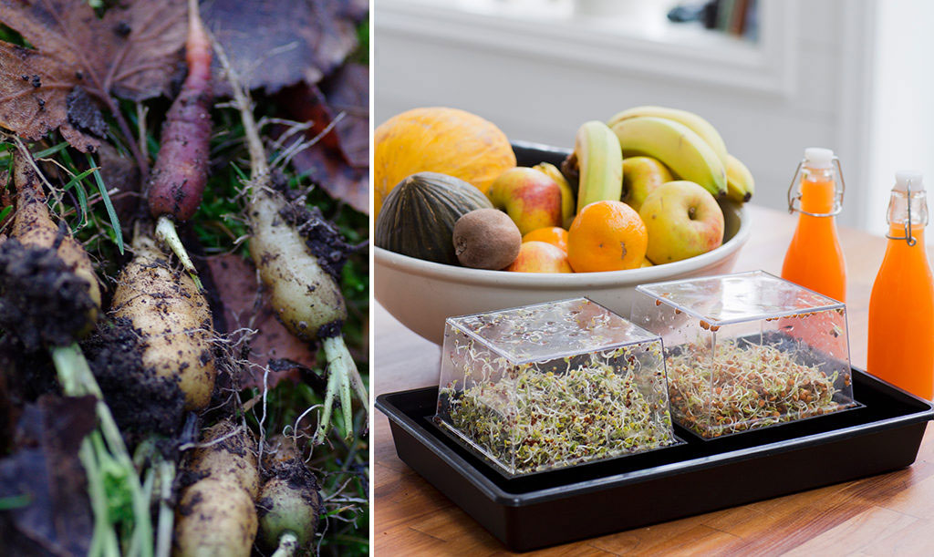 Skörda utomhus och inomhus i november