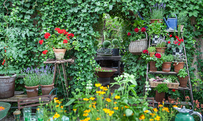 vego-garden