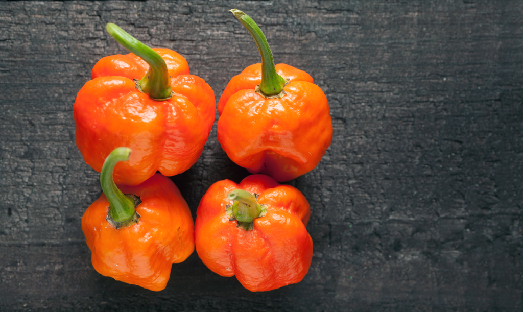 Hetta i chili mäts i Scoville