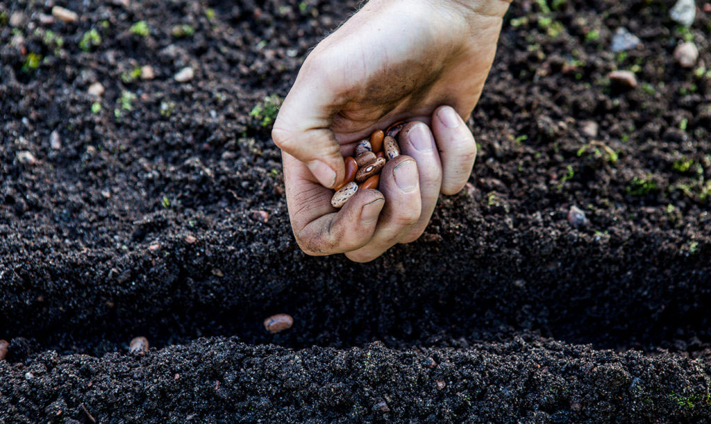 Anders Stålhands odlingstips - så inte för tidigt.