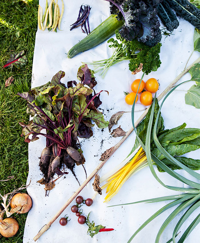 skolbarn får komma och se på trädgårdens odlingar