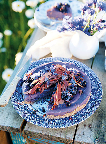 Cheesecake med blåbär
