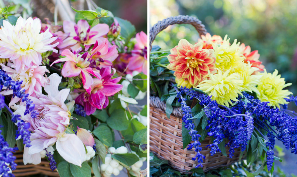 Buketter av dahlia är något alldeles särskilt. Kombinera gärna med andra blommor du har i din trädgård.