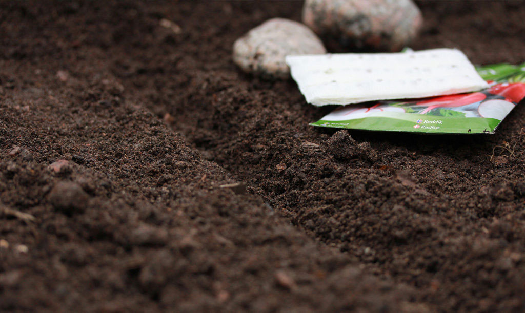 En såfåra för ett såband