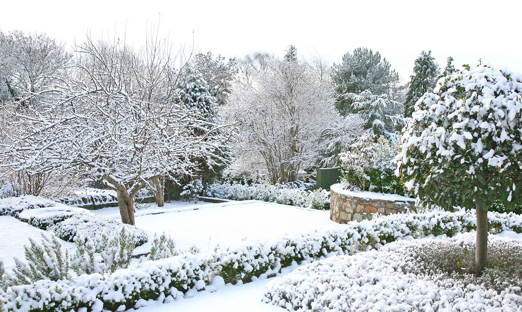 Skapa en trädgård med rum och struktur. Då blir den vacker att se på också på vintern. 