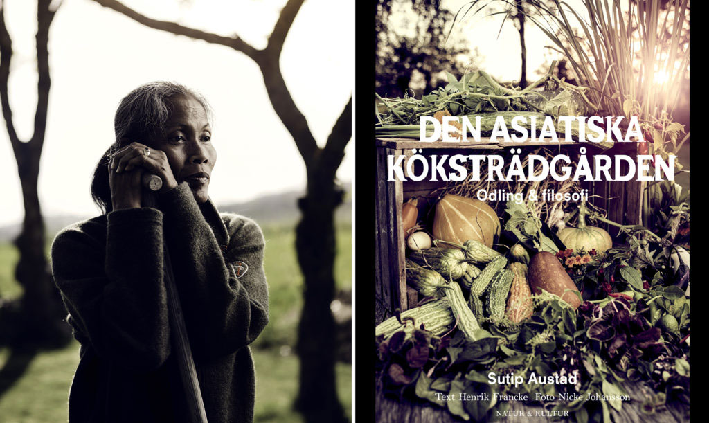 Suttit Austad i Stenungsund