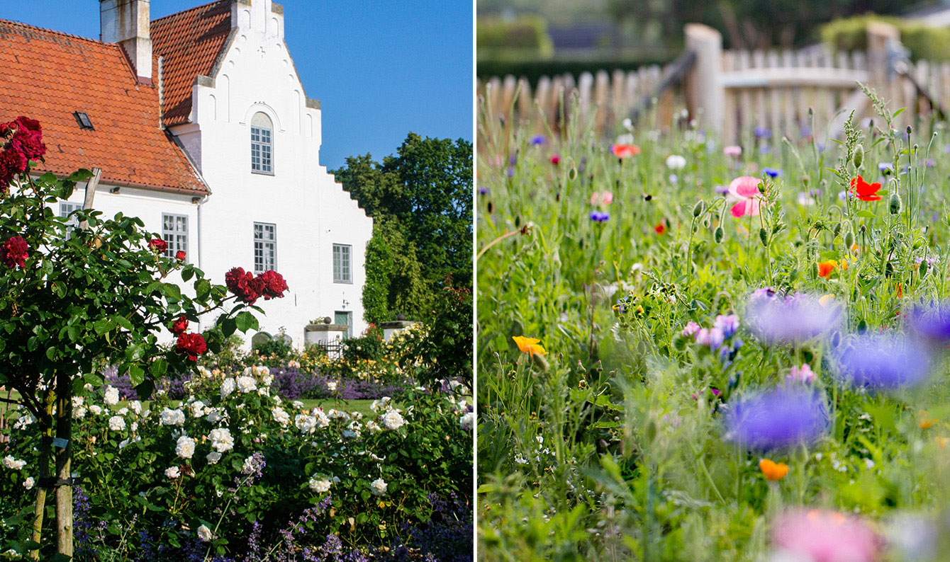 Bosjökloster slottspark och Rosendals trädgårdar.