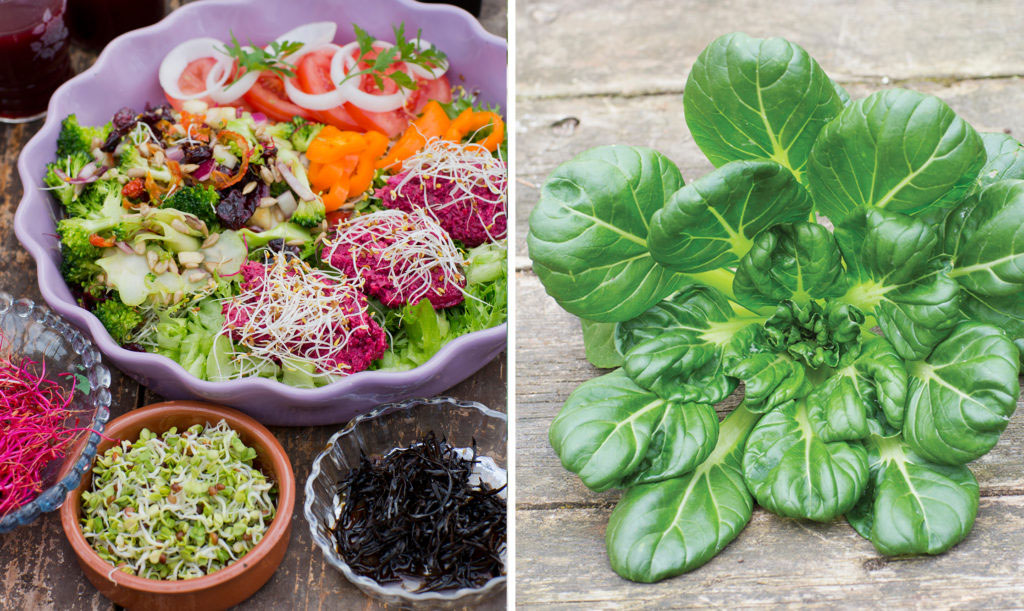 Asiatiska recept med tatsoi
