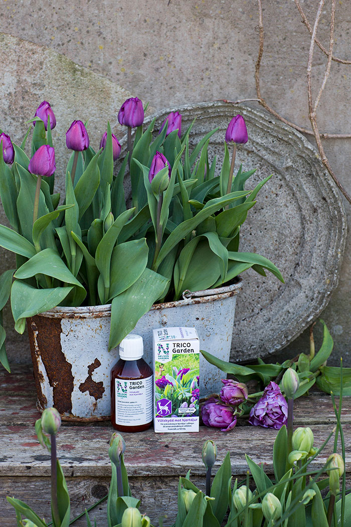 Håll rådjuren borta med TRICO Garden