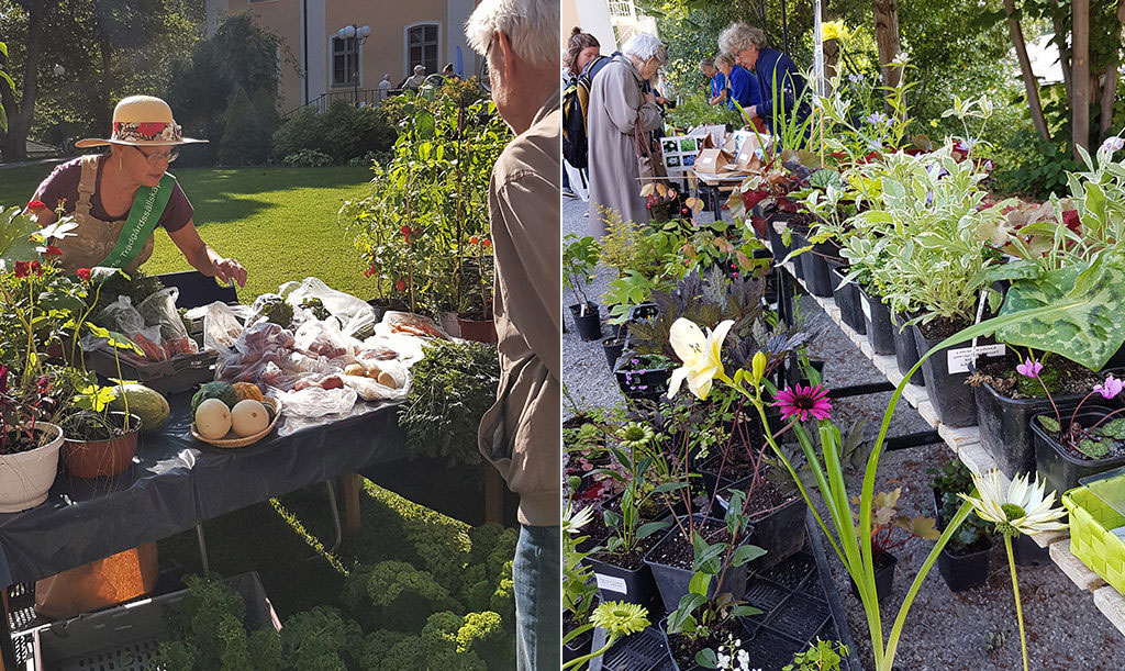 På trädgårdsmarknaden kan du bland anana köpa närodlade grönsaker, sommarblommor och perenner
