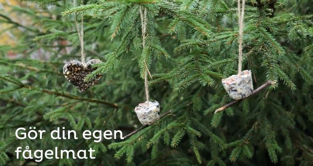 Gör din egen fågelmat