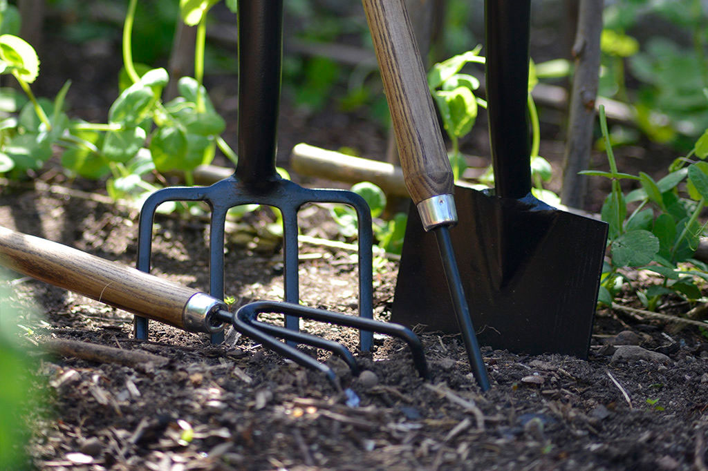 Kultivator, grep, maskrosjärn och spade. Foto: Markus Danielsson