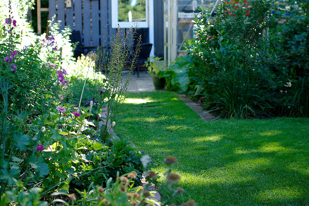 En tät växande gräsmatta ger det där stiliga uttrycket.