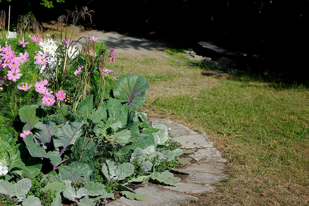Passa på att bättra på tunna och kala fläckar i gräsmattan.