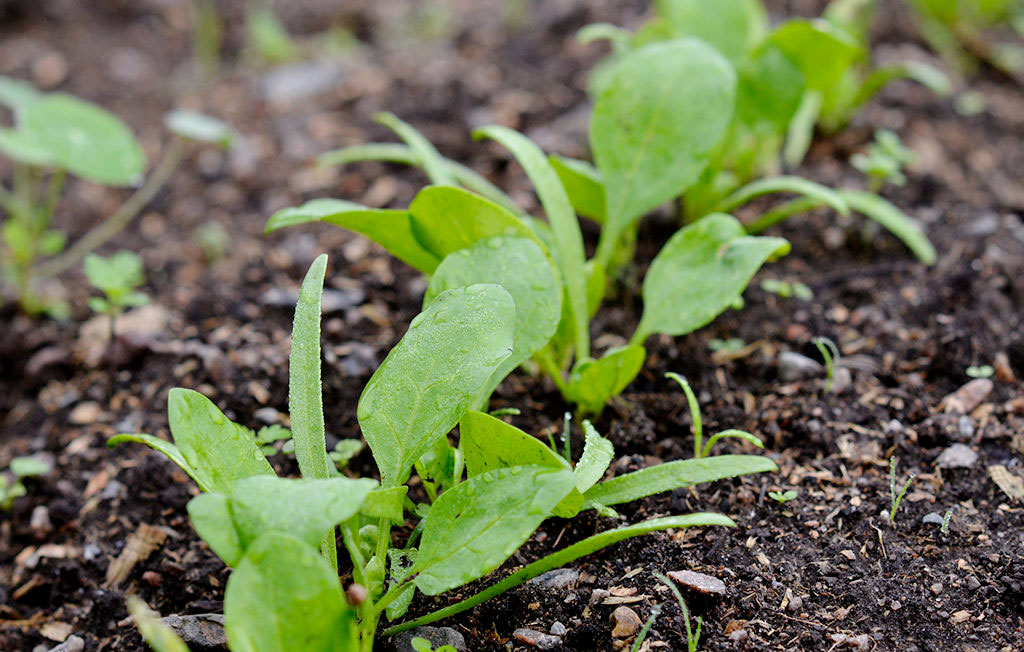 Så året runt Foto: Anna Lindeqvist