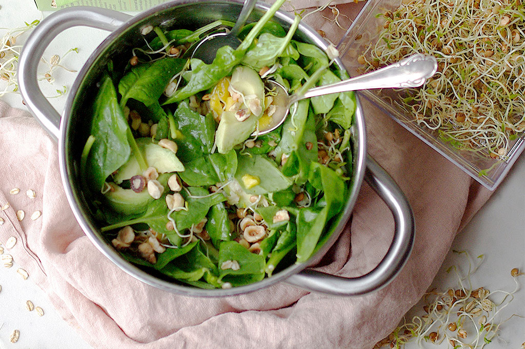 Låt linsgroddarna göra din sallad lite matigare! Foto: Lovisa Back