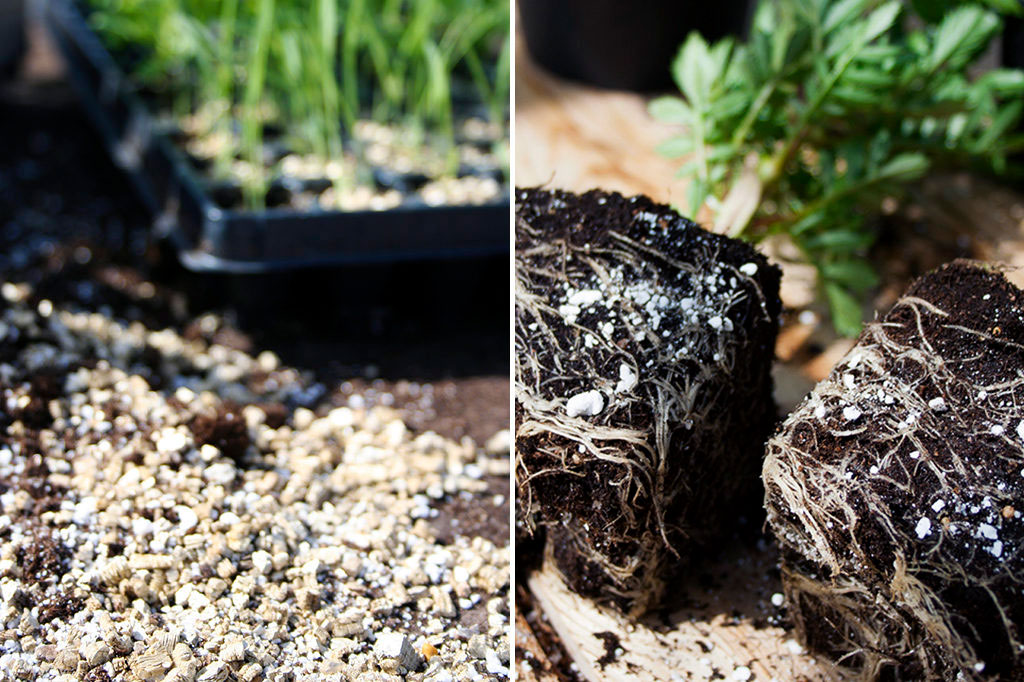 Vermiculite eller Perlite Nelson Garden