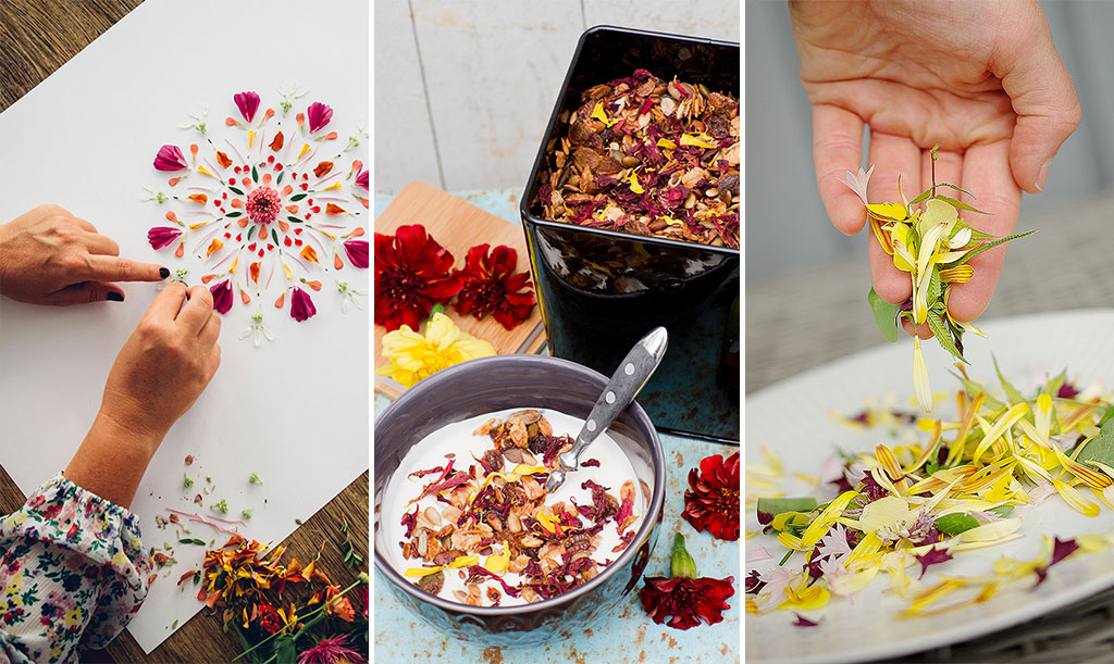 Foto: Katja Ragnstam, Annika Christensen och Lovisa Back